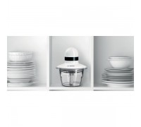 Измельчитель Bosch MMR08A1