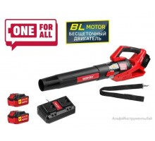 Аккум. воздуходувка WORTEX BB 2536 D ALL1 XLT SET 