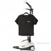 Пароочиститель Bort BDR-2500-RR (91279910)