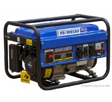 Генератор бензиновый ECO PE-3001RS