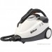 Пароочиститель Bort BDR-2500-RR Iron (93410075)