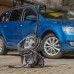 Мойка высокого давления Bort KEX-3500 (91278166)