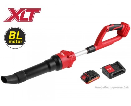 Аккум. воздуходувка WORTEX BB 2018-1 D ALL1 XLT SET 