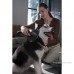 Пылесос Xiaomi Vacuum Cleaner G20 Max (D206) (BHR8828EU)